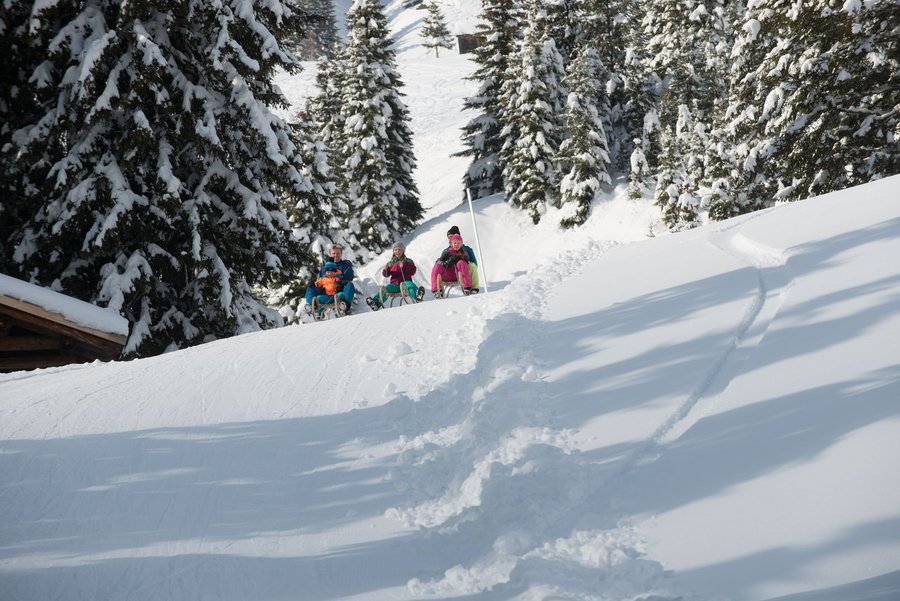 Sledging is amazing fun!