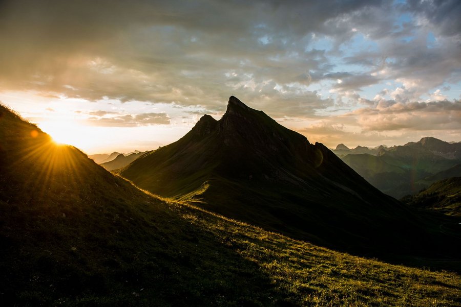 Alpenstern Wanderführer